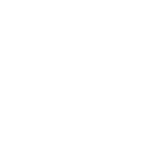 zizin copy2